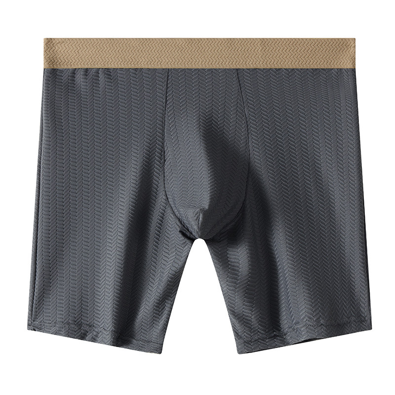 Mens Boxer Shorts Homme Nylon  – Long Leg Trunk Men Bewertung und Preis