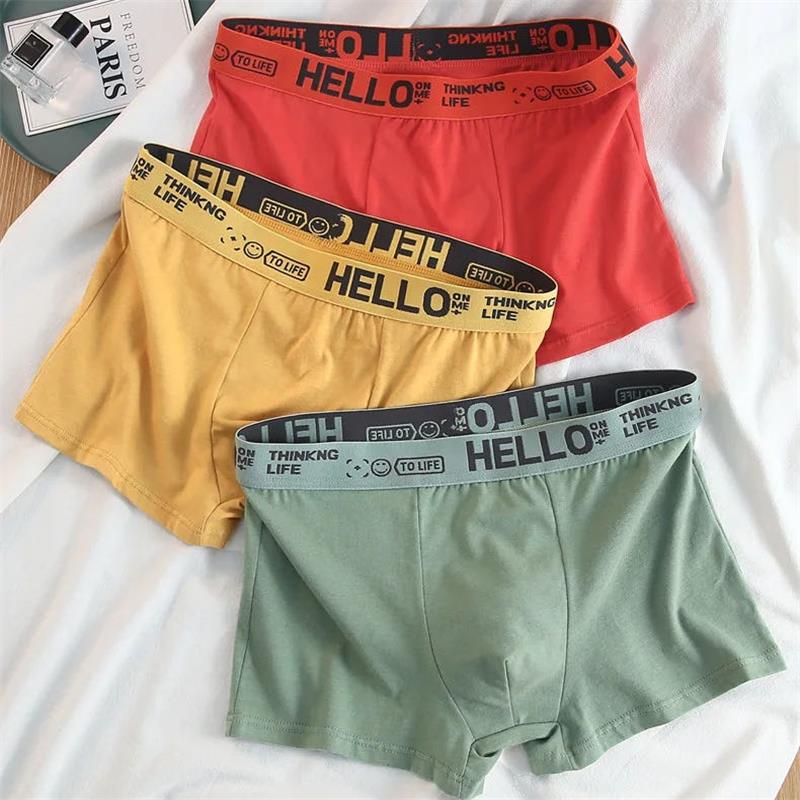 10Pieces/ Men's Underwear Men  – Boxer Brief Pack Cotton Bewertung und Preis