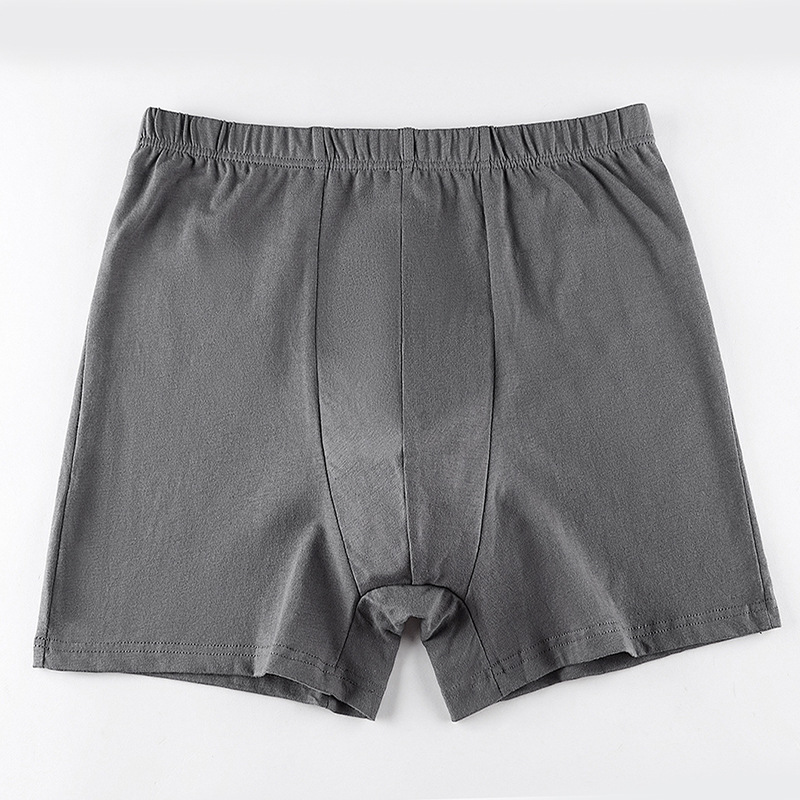 Cotton Men Panties Underpants  – Boxer Brief Pack Cotton Bewertung und Preis