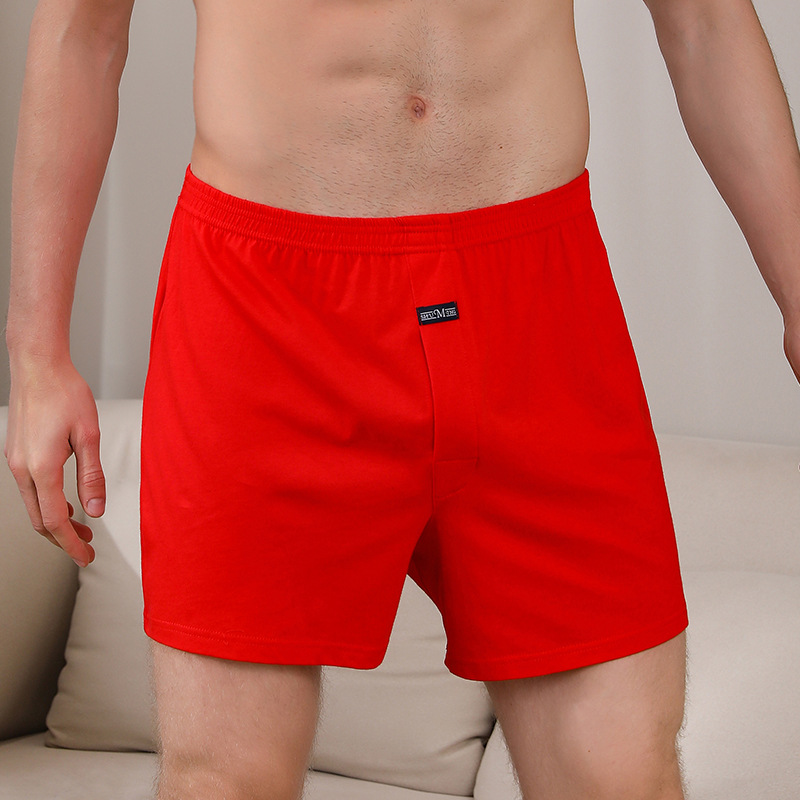 1PCS Men's Underwear Aro Pants – Boxer Brief Pack Cotton Bewertung und Preis