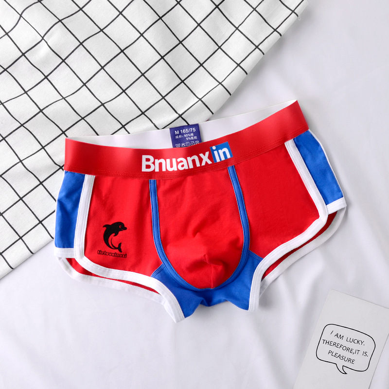 Man Underwear Fashion Youth Co – Boxer Brief Pack Cotton Bewertung und Preis