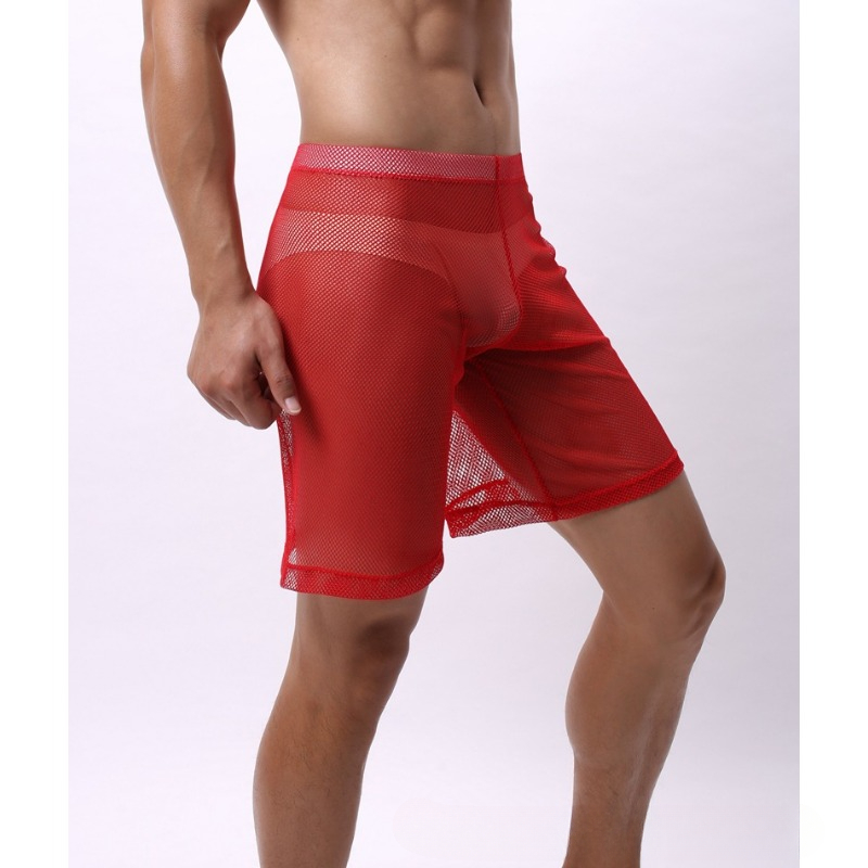 Low Rise Mesh Erotic Underwear – Pouch Boxer Pouch Bewertung und Preis